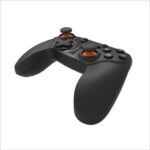 Wireless Controller For Switch   PC   Android TY1793