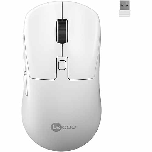 DUAL MODE MOUSE WS216